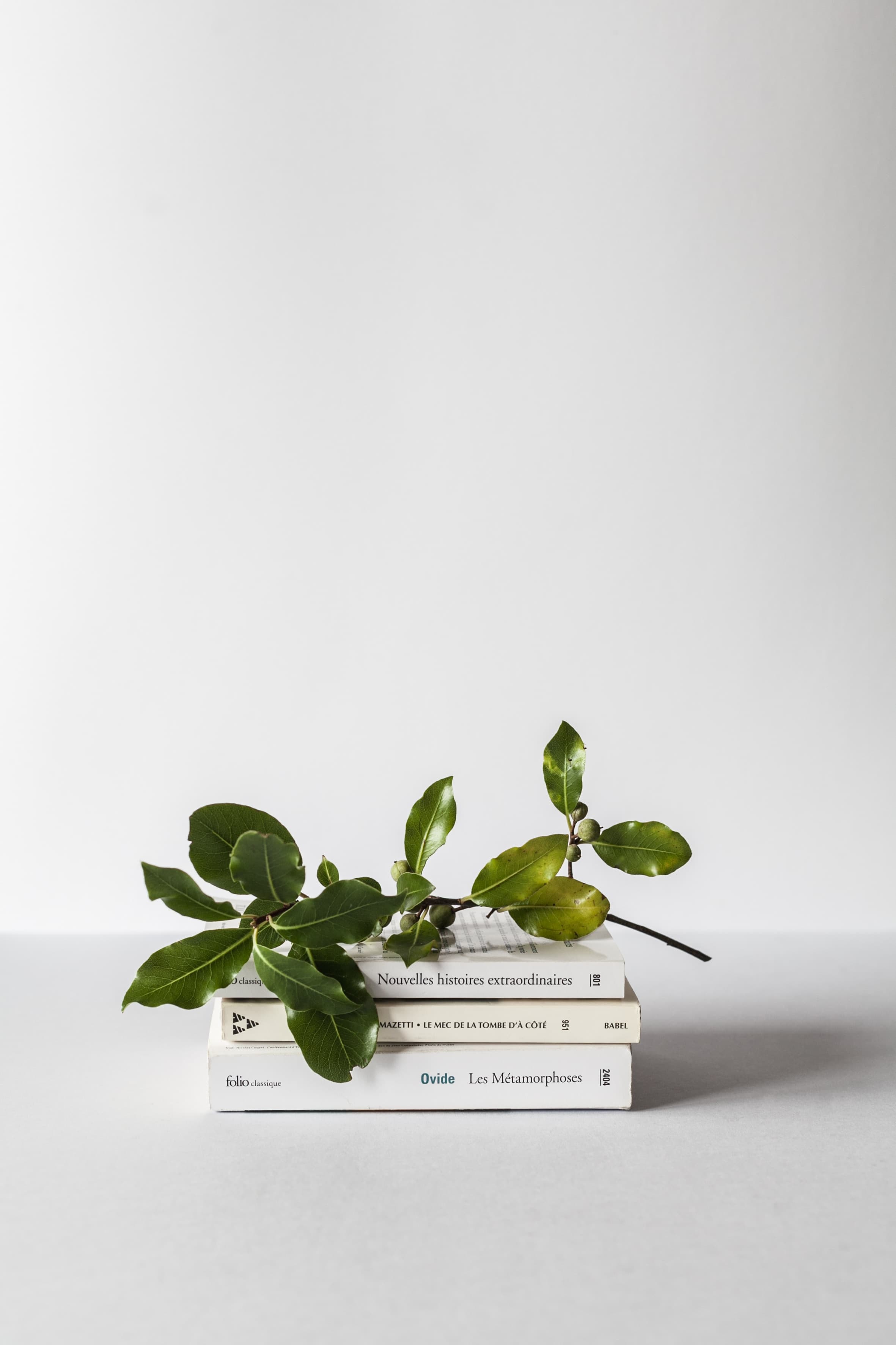 White work desk with 3 stacked books with French titles on the spine and a branch with leaves on top.